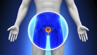 Prostatitic treatment with drugs