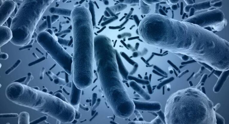 Bacteria responsible for the development of acute infectious prostatitis
